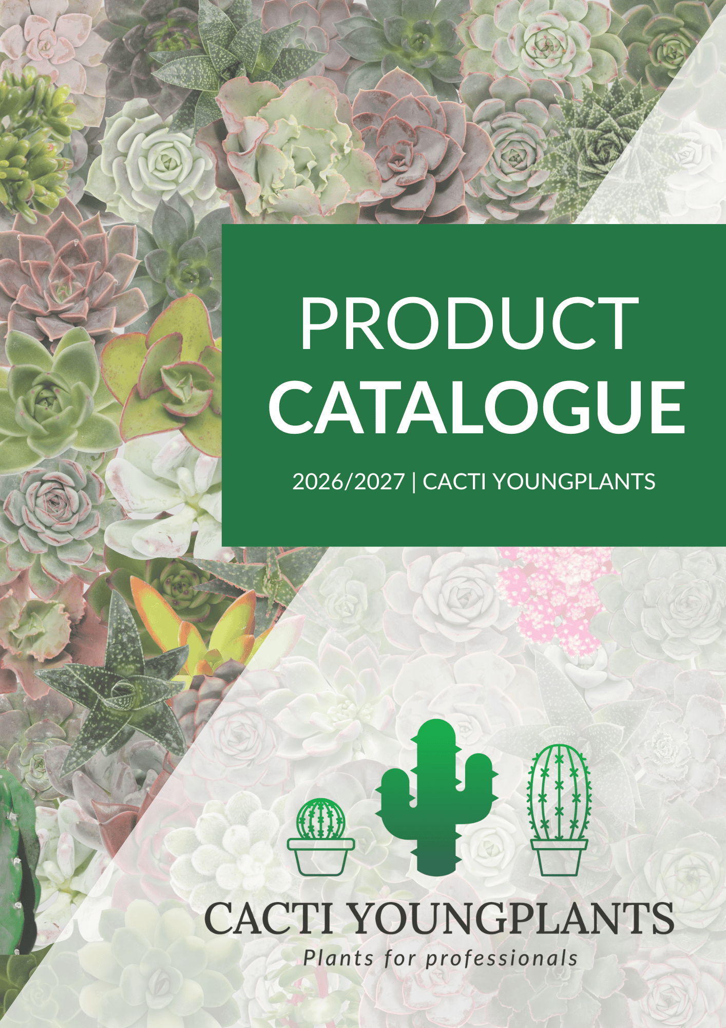 サンヨー Cacti Catalogues - Cacti Youngplants
